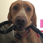 Profile Picture of Ginger Thayer (@ginger_may_thayer) on Instagram