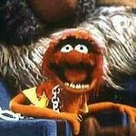 Profile Picture of Matthew Paredes (@termitewoods301) on Instagram