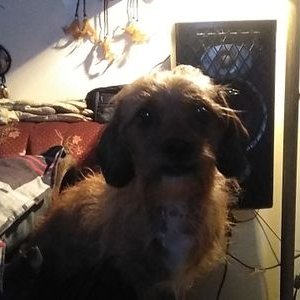 Profile Picture of George Larkin. (@GeorgeLarkin5) on Twitter