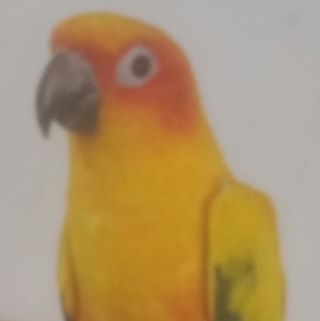 Profile Picture of Andrew H. Lipps (@andrew.h.lipps) on Facebook