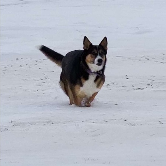 Profile Picture of Thomas Keltgen (@tkeltgen15) on Poshmark