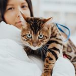 Profile Picture of Benjamin Benassi (@chernyavskaya.tan) on Instagram