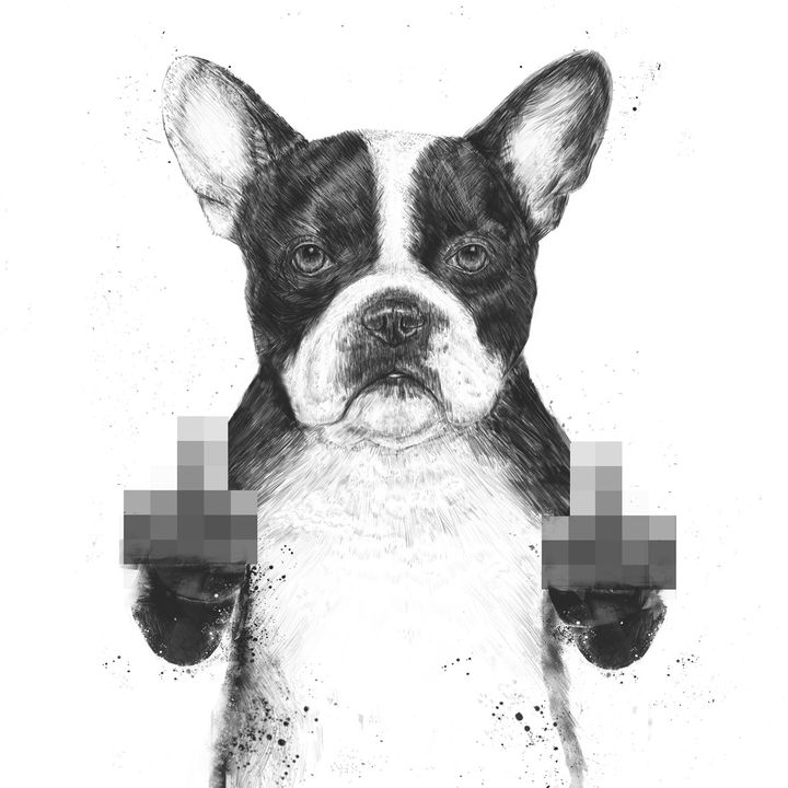 Profile Picture of Bleep (@jamesegge) on Tiktok
