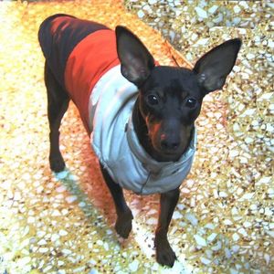 Profile Picture of George, Papadakis (@369795462) on Myspace