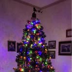 Pamela Shattuck - Facebook Profile Picture of Pamela Shattuck (@pamela.shattuck1) on Facebook