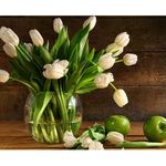 Profile Picture of Mária Kevická (@kevickamaria) on Instagram