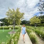 Profile Picture of Alice Kitsawat (@alice_pompam) on Instagram