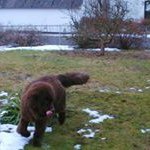 Profile Picture of Karin Larsen (@karingamrath) on Instagram