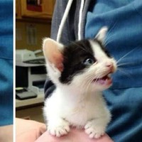 Profile Picture of Briggs-spytma Ethan (@briggs-spytma-ethan) on Quora