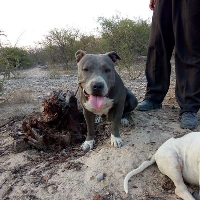 Profile Picture of Hiram Castro (@Hiram_104) on Twitter