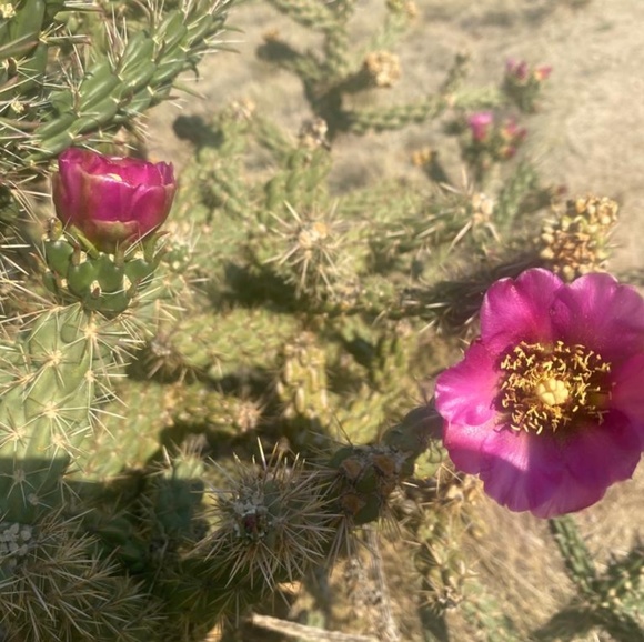 Profile Picture of Vicki Woody (@vickilynn11209) on Poshmark