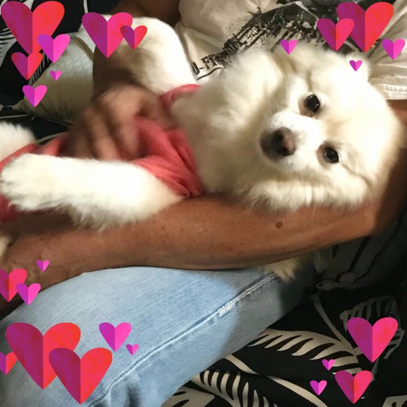 Profile Picture of Minh hien Huynh (@mrgizmo140) on Poshmark