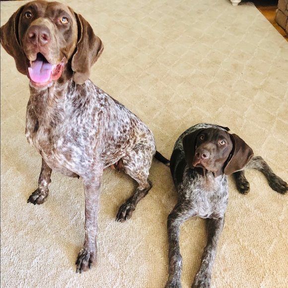 Jen Crummel - Poshmark Profile Picture of Jen Crummel (@ninet0ez) on Poshmark