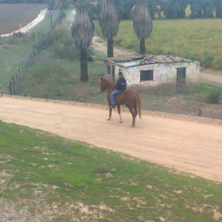 Profile Picture of Aaron Manzanarez (@aron.manzanares.1) on Facebook