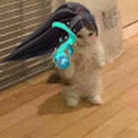 Profile Picture of Verzonic  (@verzonic) on Quora