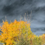 Profile Picture of Matthew Siegler (@SunFlareSystems) on Youtube