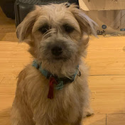 Profile Picture of Sonia Devine (@soniadevine3374) on Youtube