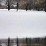 Profile Picture of Paula Torres (@toomanypaulas) on Instagram