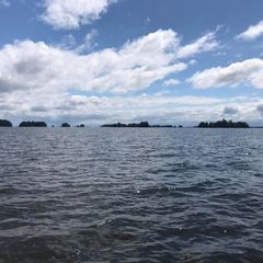 Profile Picture of scottdowden (@scottdowden) on Tiktok