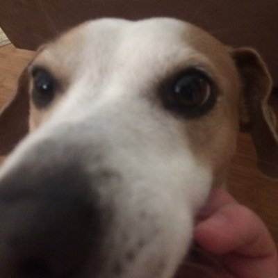 Profile Picture of Jacob Mccall (@jrider277) on Twitter
