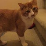 Profile Picture of Wilson Hebert (@wilson_hebert66) on Instagram