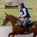 Profile Picture of Molly Barry (@off_the_track_eventing) on Instagram