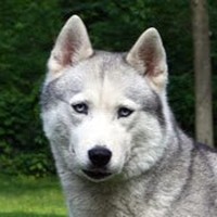 Profile Picture of Ian Kiilsgaard (@ian-kiilsgaard) on Quora