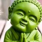 Profile Picture of   Bobby jangam... (@bobbyjangam49) on Tiktok