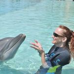 Profile Picture of Lisa Munselle (@lisamunselle) on Instagram