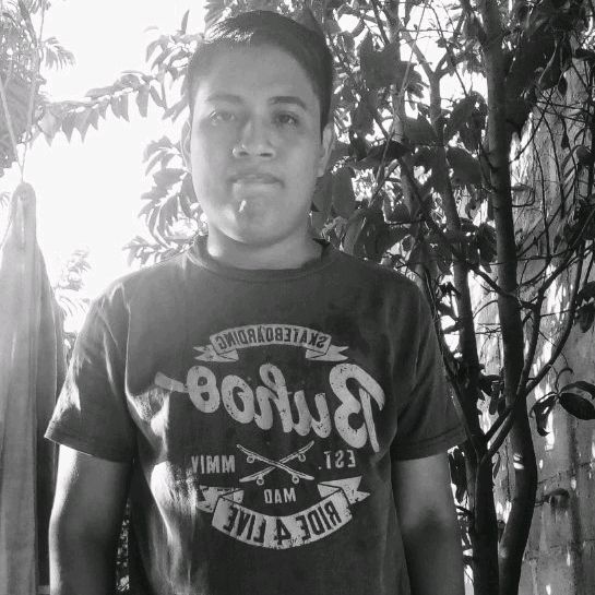 Profile Picture of Andy Fonseca (@andyfonseca8) on Tiktok