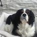 Profile Picture of Martin Carrier (@martin.carrier.7165) on Facebook