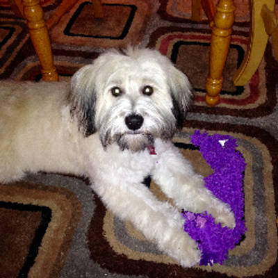 Profile Picture of Jody McGuirk (@jguirk) on Twitter