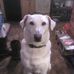 Profile Picture of Earl Fultz (@earl.fultz.56) on Facebook