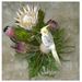 Profile Picture of Ada Terrell (@aet1945) on Pinterest
