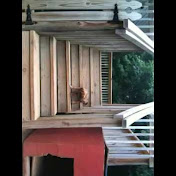 Profile Picture of Beverly Maulden (@chuckwhut) on Youtube