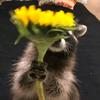Profile Picture of Alarson (@alarson.21) on Tiktok