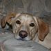 Profile Picture of Martin Day (@martin.day.524) on Facebook