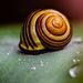 Profile Picture of Ian Loyden (@ianloyden) on Pinterest