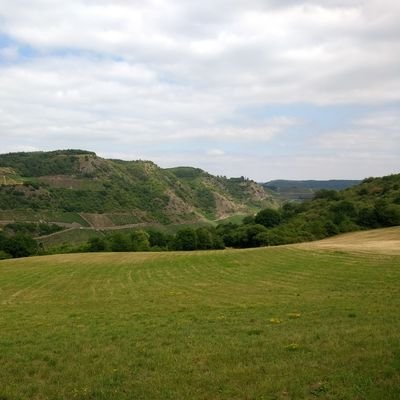 Profile Picture of Sean Edmiston-Lane (@LaneEdmiston) on Twitter