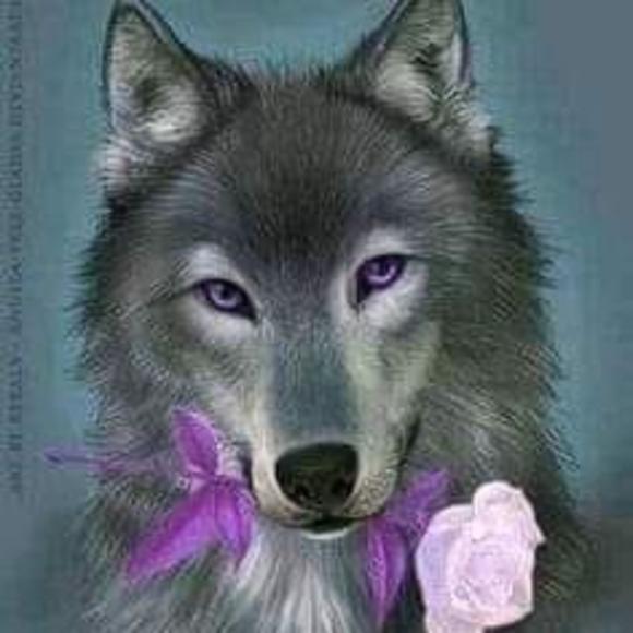 Linda Gabany - Poshmark Profile Picture of Linda Gabany (@lindagabany) on Poshmark