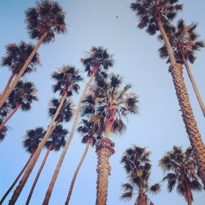 Profile Picture of Amy (@TheRealMsAmy) on Twitter
