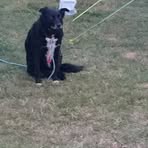 Profile Picture of Bert Nicholls (@Bert-Nicholls) on Facebook