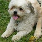 Profile Picture of Nan Simpson (@simpson.nan) on Instagram