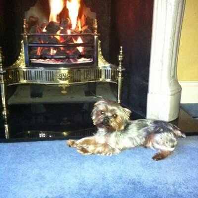 Profile Picture of Cameron. (@TheCamJoel) on Twitter