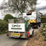 Profile Picture of Timbr - The Tree Specialists (@timbr_thetreespecialists) on Instagram