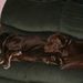 Profile Picture of Floyd Bryant (@bryant1245) on Pinterest