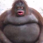 Profile Picture of Nate Ingraham (@nateypie100) on Instagram