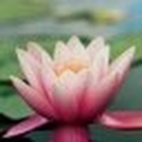 Profile Picture of Victoria Zyp (@victoria-zyp) on Quora