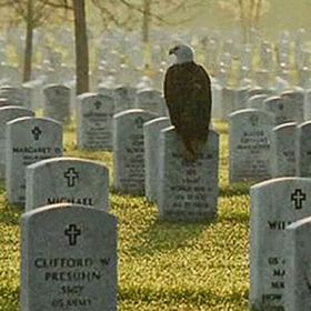 Profile Picture of alexander gomez (@agomez4147) on Pinterest