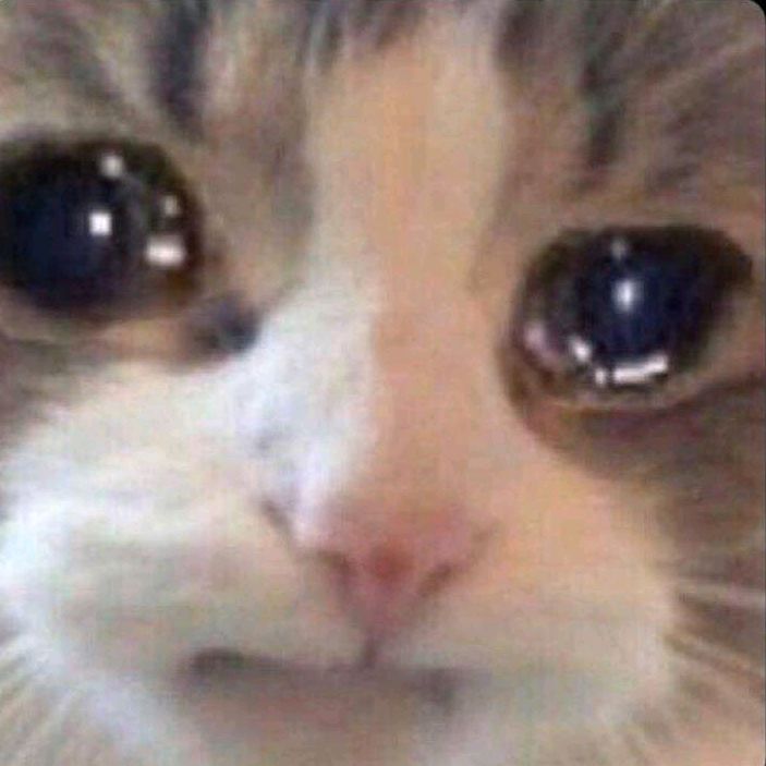 Profile Picture of Andrew Sin (@andrewsinx) on Tiktok